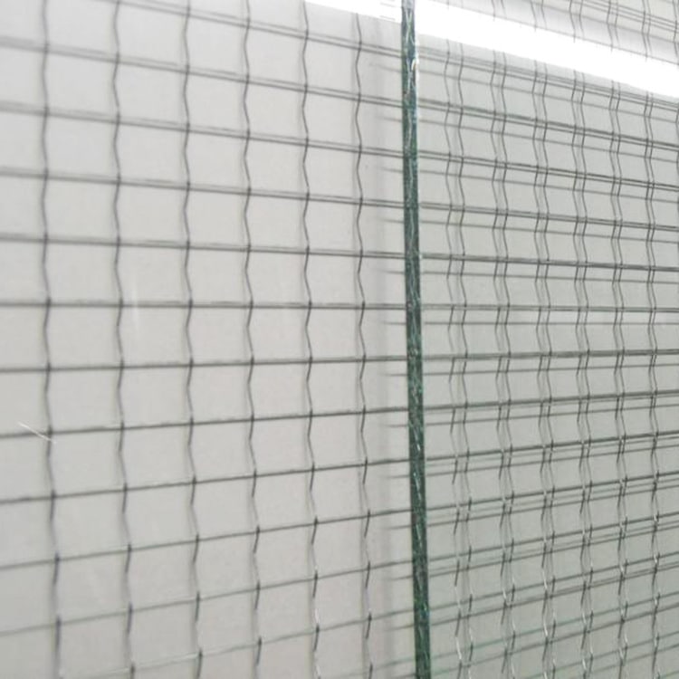 wired mesh glass
